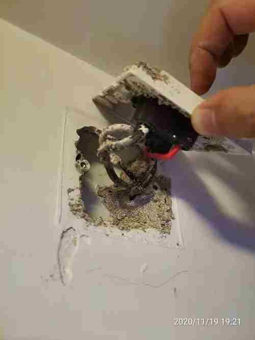 白蚁防治